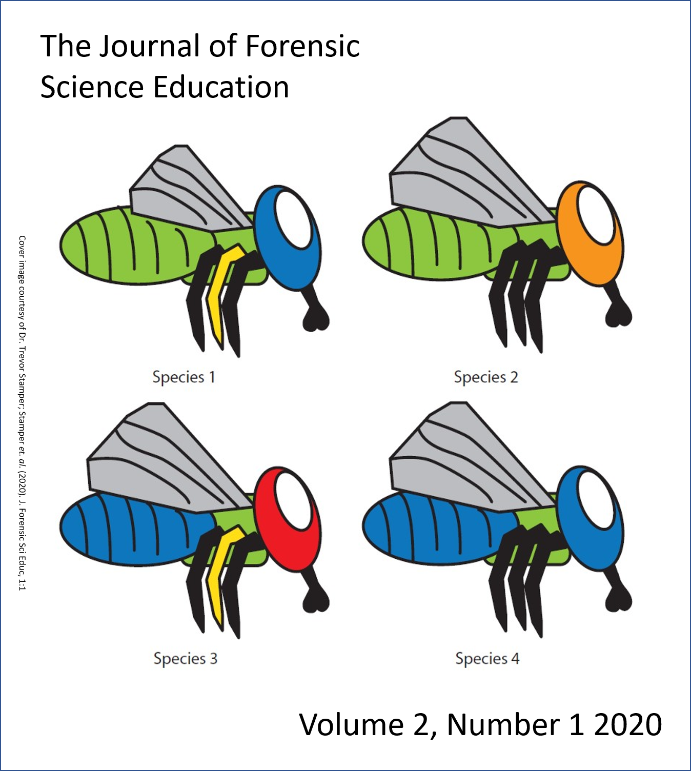 Illustration of four hand-drawn Calliphoridae flies, taken from Stamper 2020